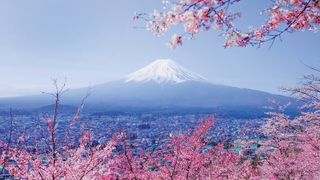Travel to Japan