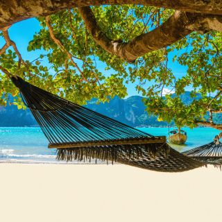 Voyage au bord de la mer ?