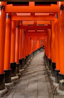Tour of Japan