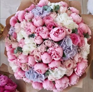 Bouquet of peonies
