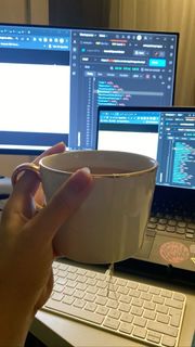 I dream about new profesional camera and computer