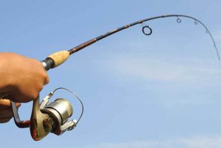 I want a fishing rod