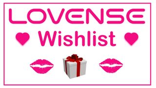 Lovense toys