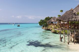 celebrate new year at sea