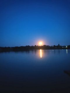 I want to go to the sea