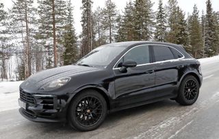 Macan