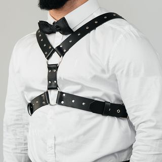 Harness