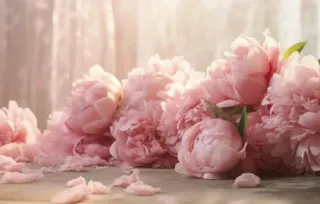 Bouquet of flowers