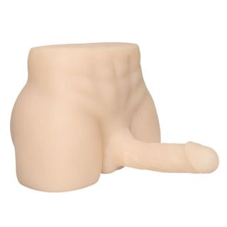 Torso Medium Curve