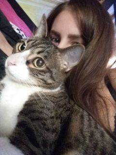 *Красивые сисечки*