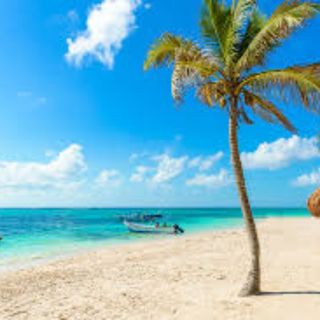 I want to know the sea