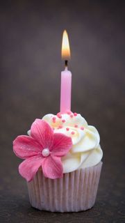 На День Рождения