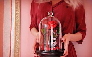 rose in glass.....rose in a flask