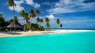 We want to fly to the Maldives