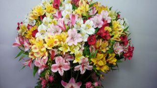 I dream of visiting Europe