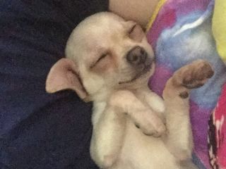 I'm looking for a wife