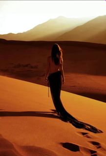 Trip around the world