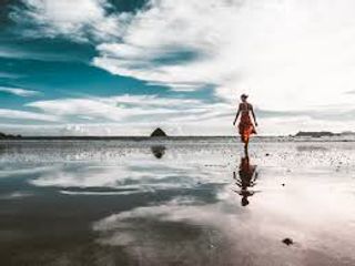 travel around the world !