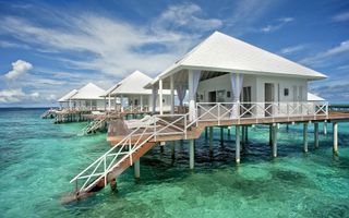 40,000 tokens for Honeymoon