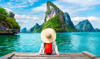 I would love to travel the world