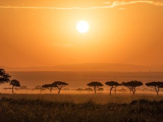 A guided safari trip for the two of us