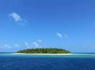 The Island