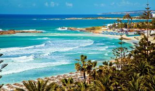 I want to go to the sharks)