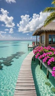 Holidays on the islands