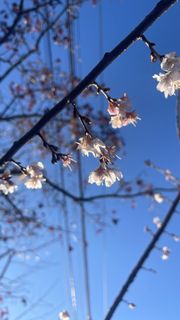 To meet people that appreciate me