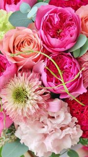 Beautiful flowers are my love