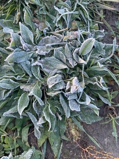 I haven't figured it out yet