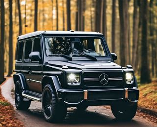 Mrrr_a wish list item 4 thumbnail