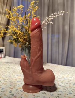Vibrator