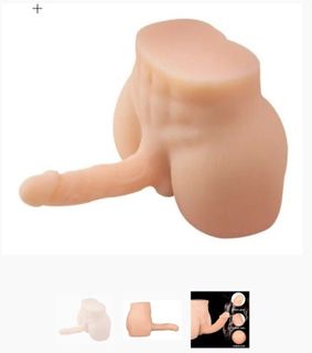 Male Torso