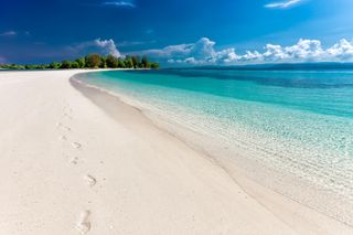 We want to go to the sea