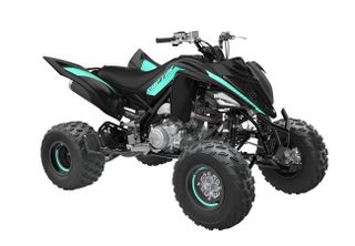 raptor