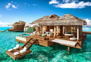 trip to the maldives