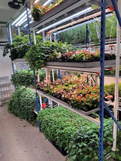 Start a Plant Growing Business