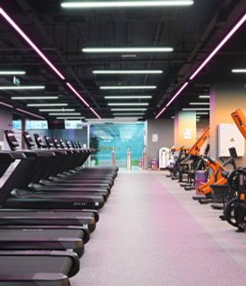 Annual gym membership