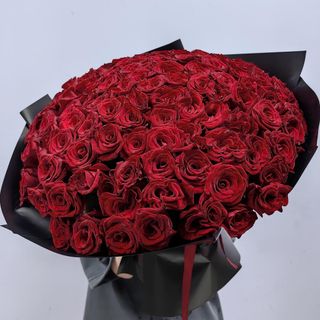 101 rose