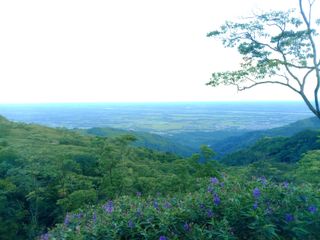 Pagar mi universidad