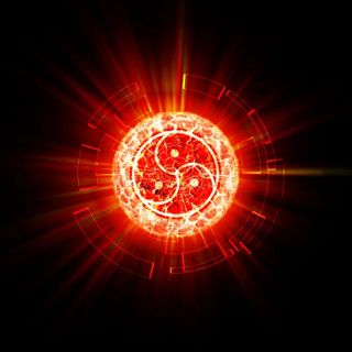 Obedience Ritual: Private Alignment Session