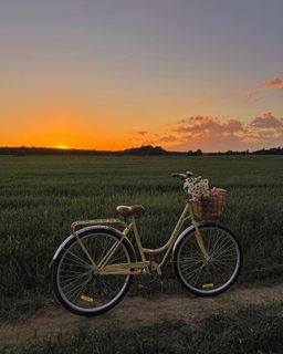 Bycicle