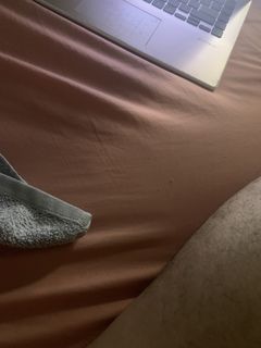 Nueva cam