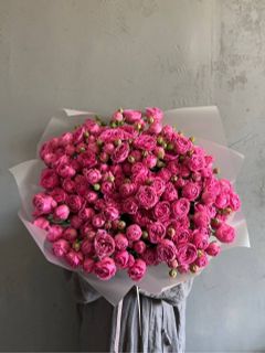 Beautiful flowers