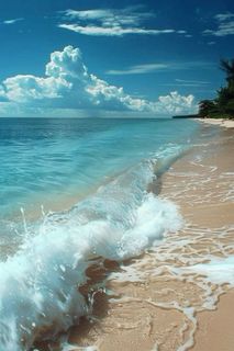 Vacation