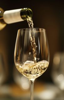 Elegant Taste Journey