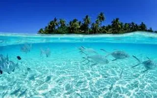 Pacific Ocean