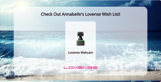 Lovense Webcam