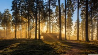 A place with peace